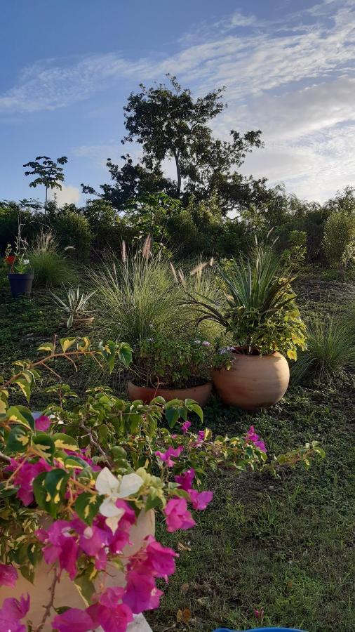 P'Tites Chambres Dans La Campagne De Marie Galante Grand-Bourg  Exterior photo